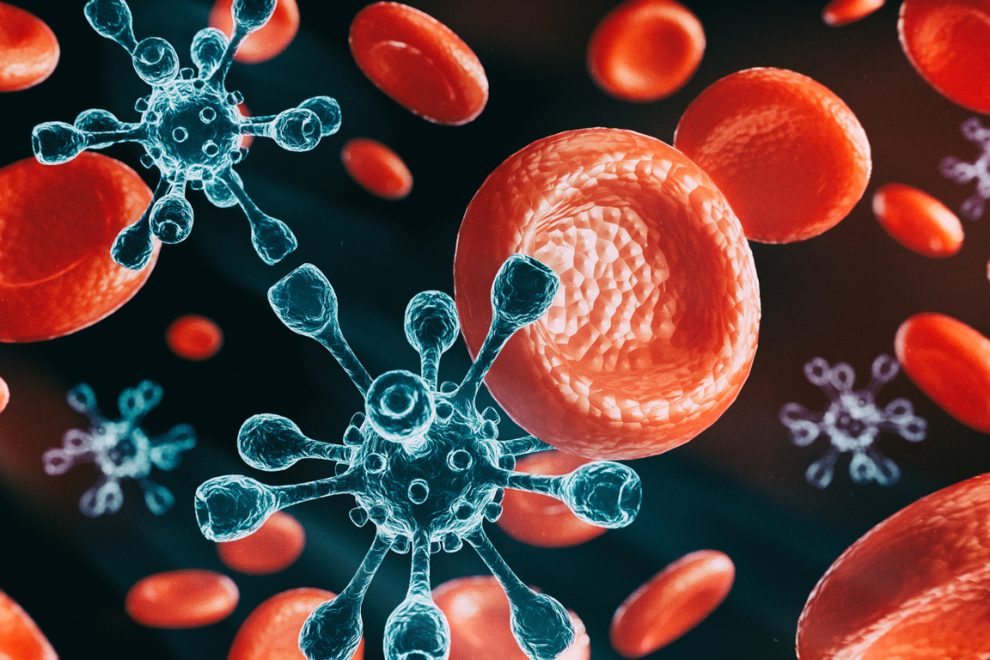 Red blood cells and viruses